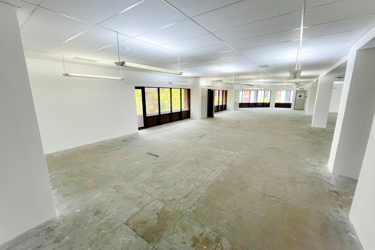 Commercial office space/building to rent in Parktown - Photo 5