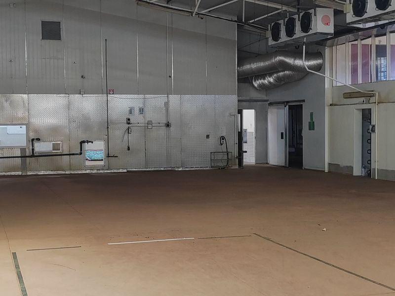 Spacious industrial utility area featuring exposed steel roof trusses, metal wall cladding, integrated HVAC systems, and durable concrete flooring with drainage.
