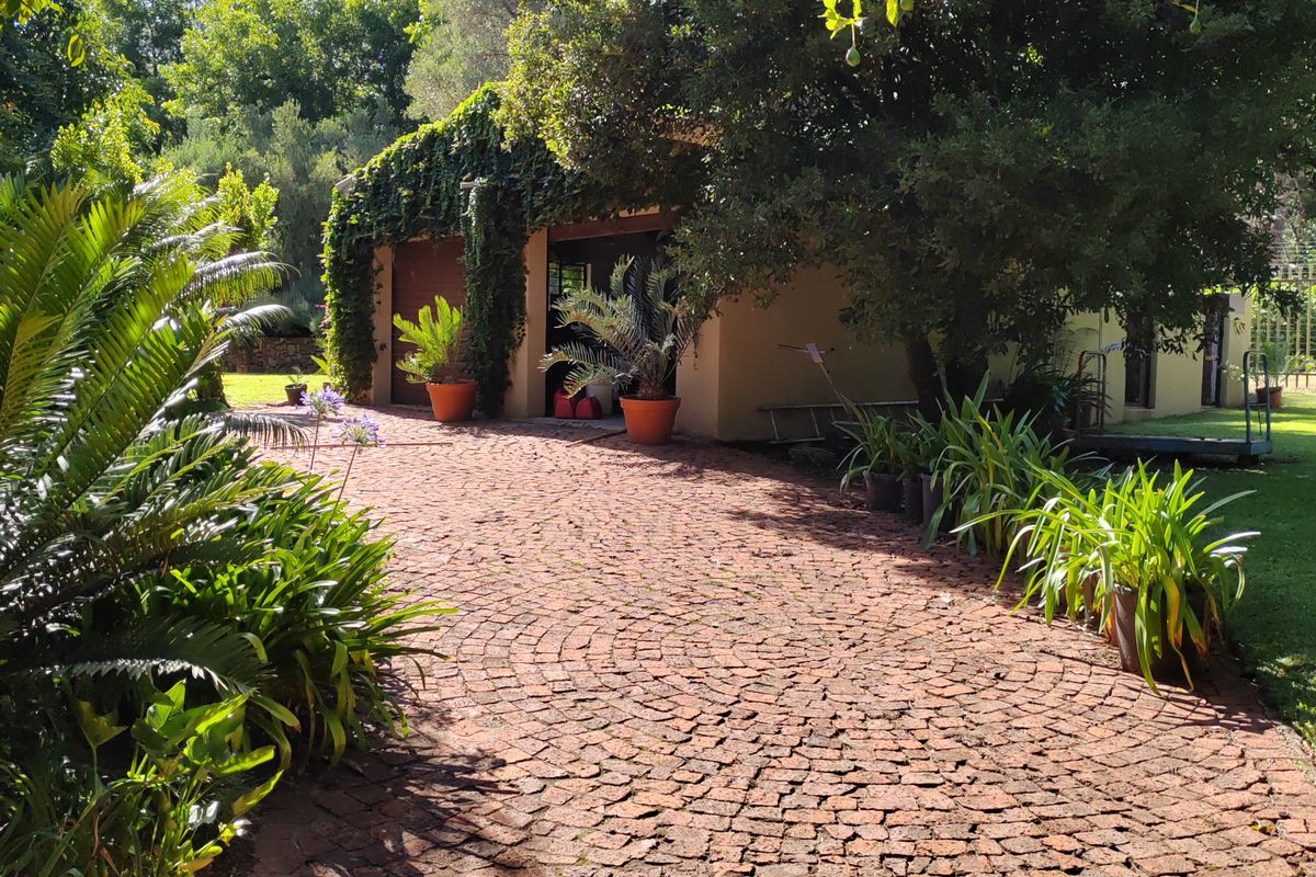 Vegetable irrigation farm with factory and guesthouses for sale - Photo 4