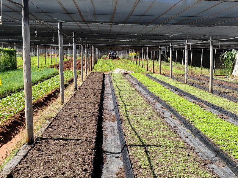 A well-maintained agricultural nursery featuring extensive raised planting beds protected by a large-scale overhead shade netting structure.