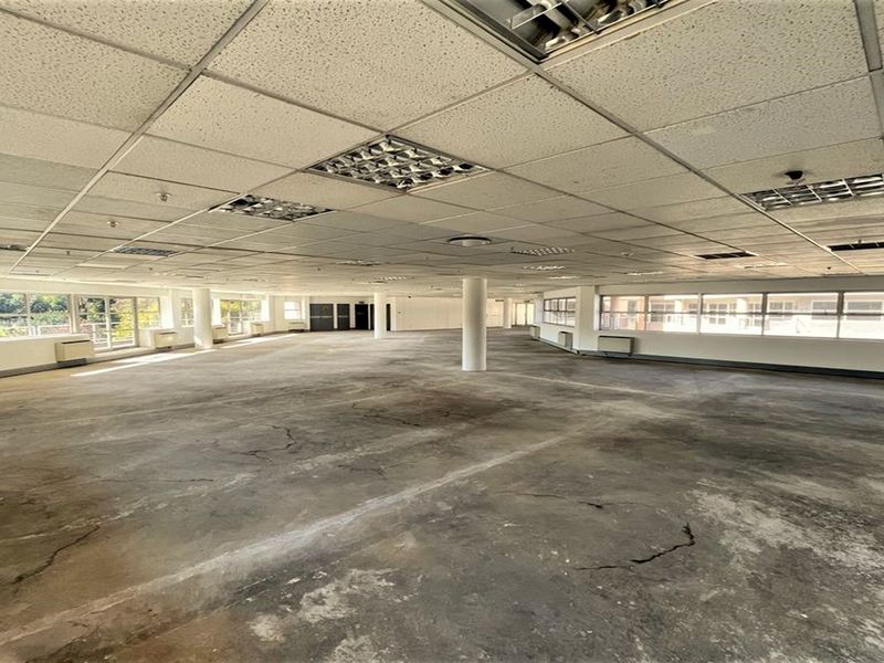 Office space to let in Parktown - Photo 5