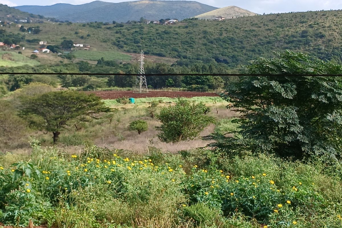 Beautiful 21 ha Farm for Sale – Only 15 km from Empangeni - Photo 5