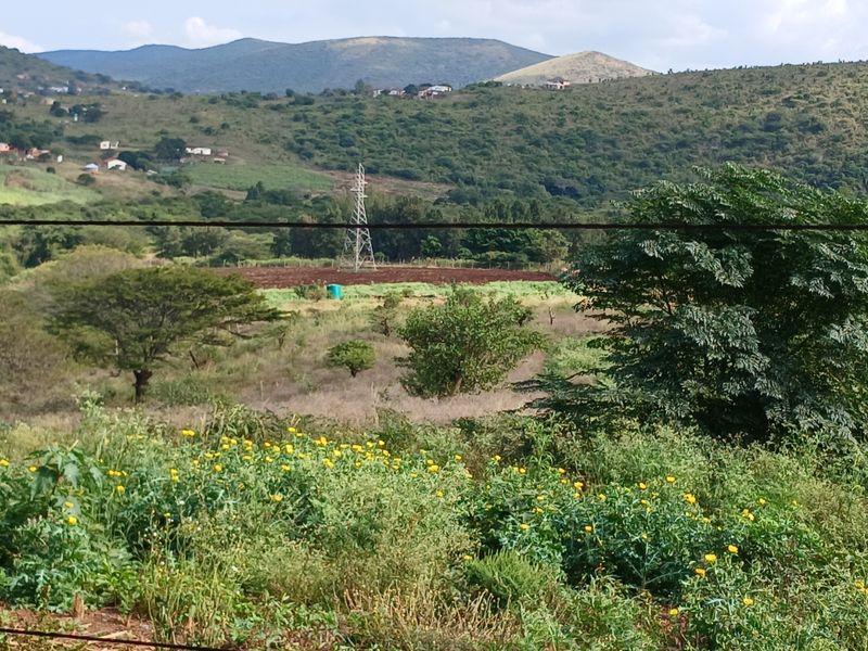 Beautiful 21 ha Farm for Sale – Only 15 km from Empangeni - Photo 5