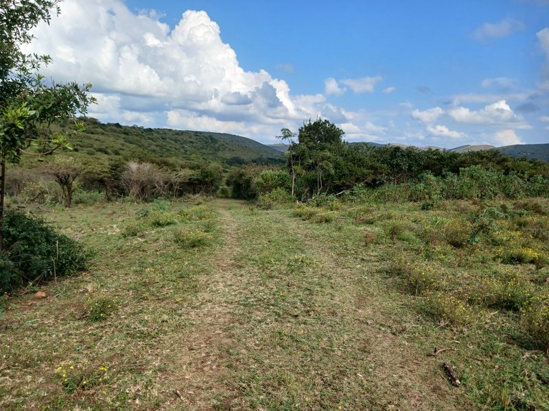 Beautiful 21 ha Farm for Sale – Only 15 km from Empangeni - Photo 10