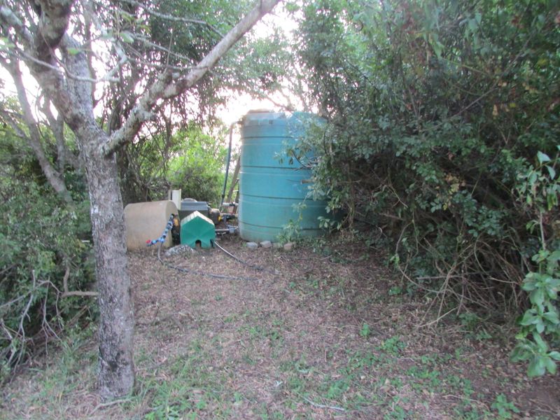 Beautiful 21 ha Farm for Sale – Only 15 km from Empangeni - Photo 7