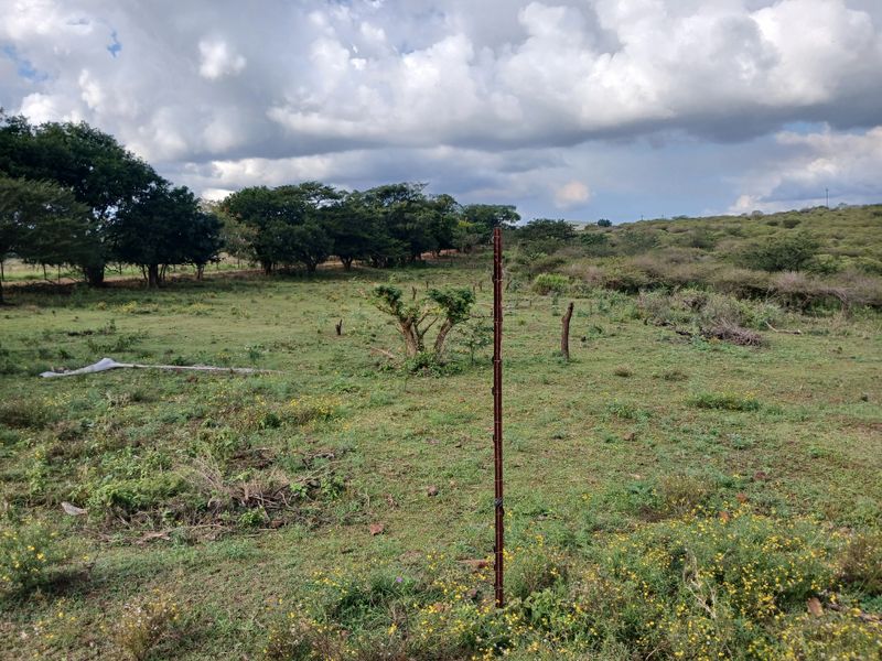 Beautiful 21 ha Farm for Sale – Only 15 km from Empangeni - Photo 9