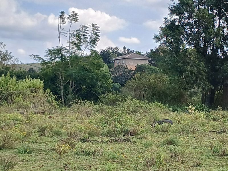 Beautiful 21 ha Farm for Sale – Only 15 km from Empangeni - Photo 6