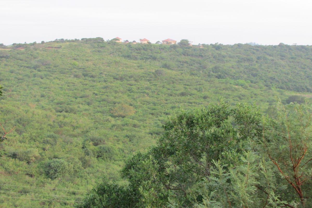 Beautiful 21 ha Farm for Sale – Only 15 km from Empangeni - Photo 4