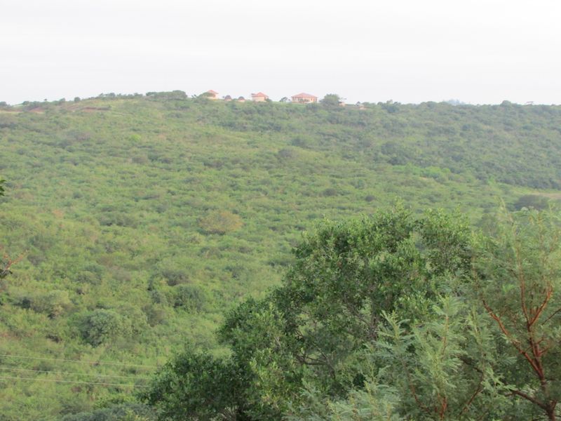 Beautiful 21 ha Farm for Sale – Only 15 km from Empangeni - Photo 4
