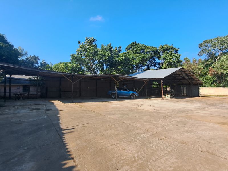 3,000m2 Distribution & Manufacturing Facility To Let – Ready for Occupation - Photo 4