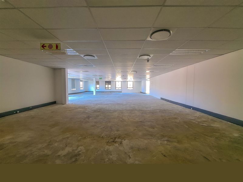 A large, open-plan office space featuring a suspended ceiling with recessed lighting and unfinished concrete flooring, ready for custom fit-out.