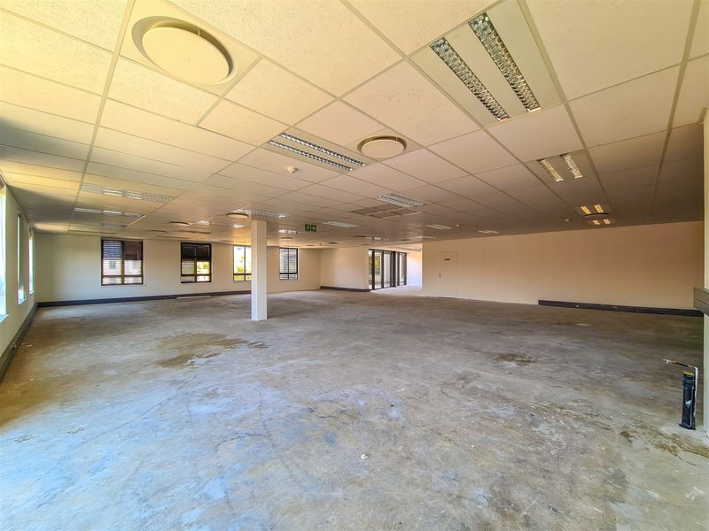A large, open-plan office space featuring a suspended ceiling with recessed lighting and an unfinished concrete floor, ready for custom fit-out.