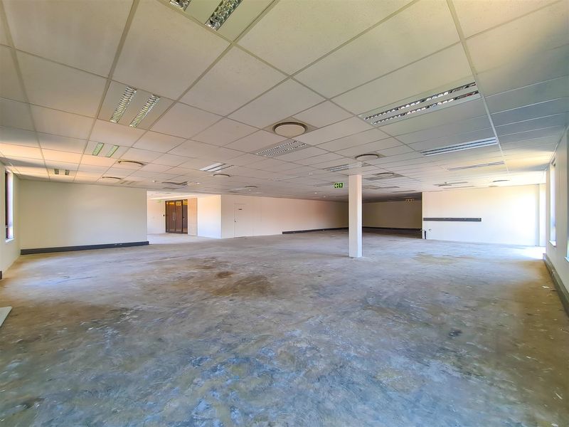 A large, open-plan office space featuring a suspended ceiling with recessed lighting and exposed concrete flooring, ready for custom fit-out.