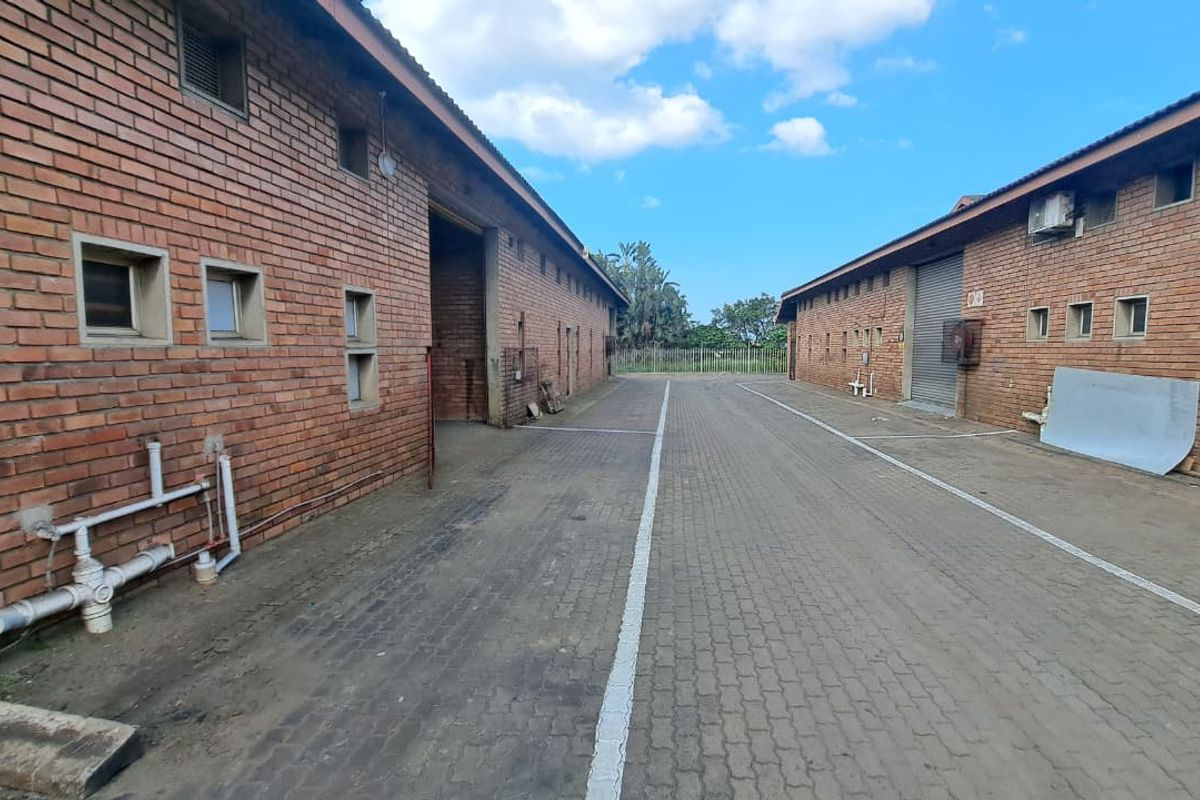 Industrial exterior view showing a paved driveway between two brick warehouse buildings with roller shutter access and external utility connections.