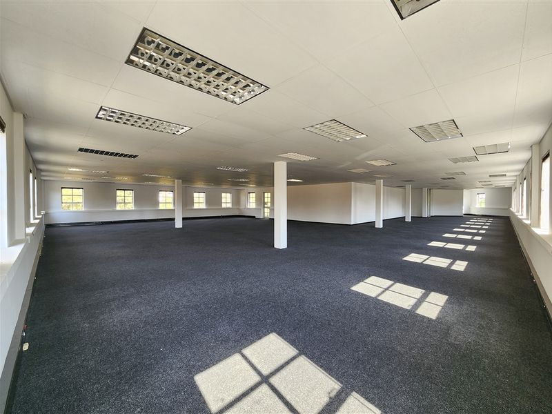 A large, open-plan office space featuring a suspended ceiling with recessed lighting, support columns, and dark carpeting throughout.