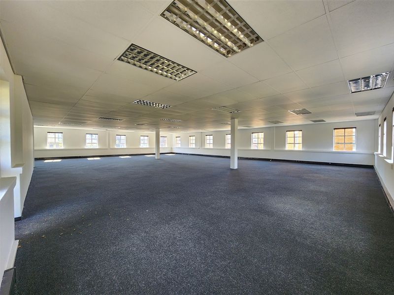A large, open-plan office space featuring a suspended ceiling with recessed lighting, carpeted flooring, and multiple windows providing natural light.