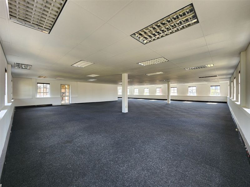 A spacious, open-plan office area featuring a suspended ceiling, recessed lighting, and carpeted flooring, offering a versatile workspace layout.