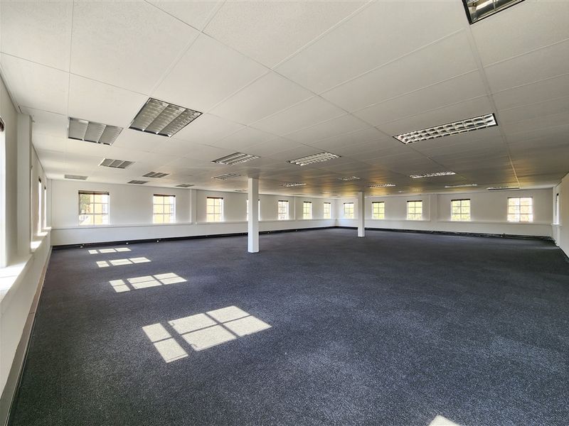 A spacious, open-plan office area featuring a suspended ceiling with recessed lighting, carpeted flooring, and multiple windows providing natural light.