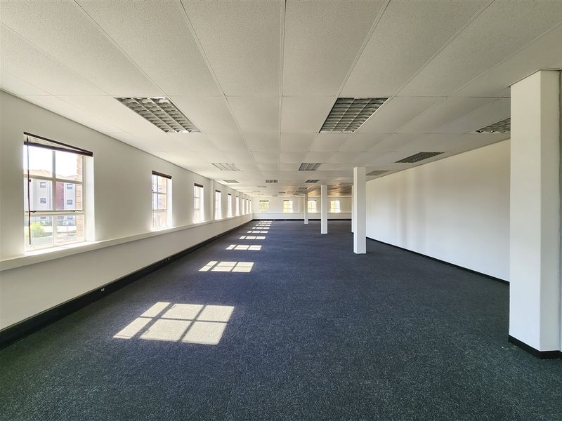 A spacious, open-plan office area featuring a suspended ceiling with recessed lighting, carpeted flooring, and large windows providing ample natural light.