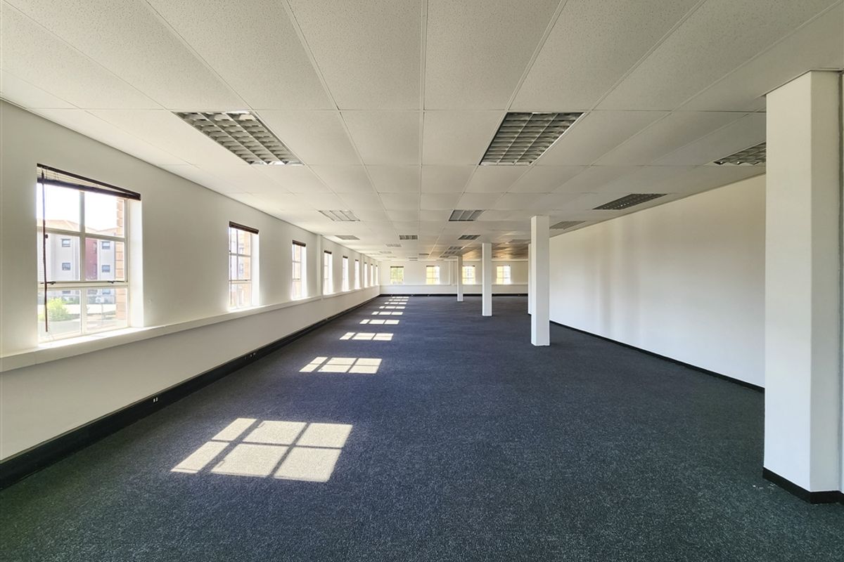 A spacious, open-plan office area featuring a suspended ceiling with recessed lighting, carpeted flooring, and large windows providing ample natural light.