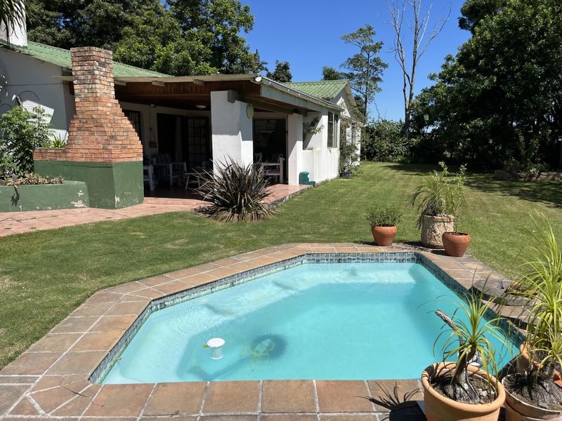 Cattle Farm in Bathurst - Photo 2