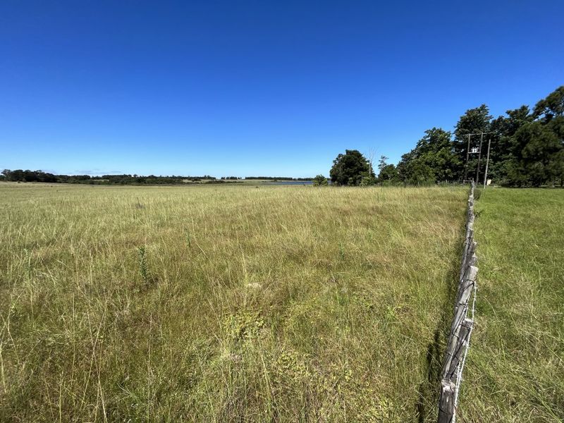 Cattle Farm in Bathurst - Photo 7