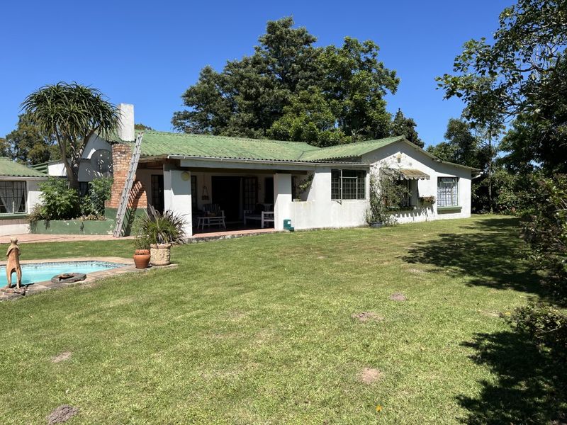 Cattle Farm in Bathurst - Photo 3
