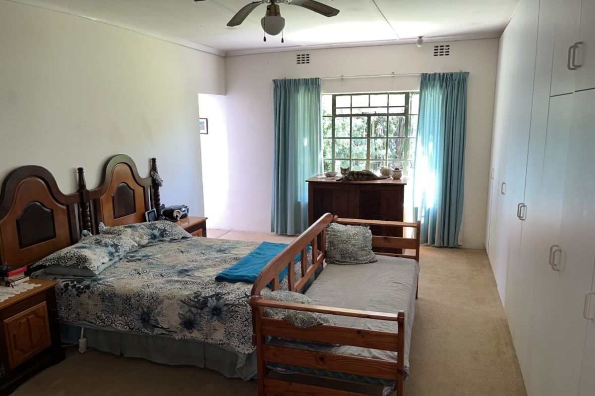 Spacious bedroom featuring built-in cupboards, a ceiling fan, and large windows allowing for natural light.