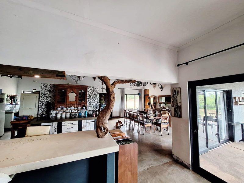 Farm for Sale with Chalets – Prime Investment Opportunity near Hluhluwe, KwaZulu-Natal - Photo 3