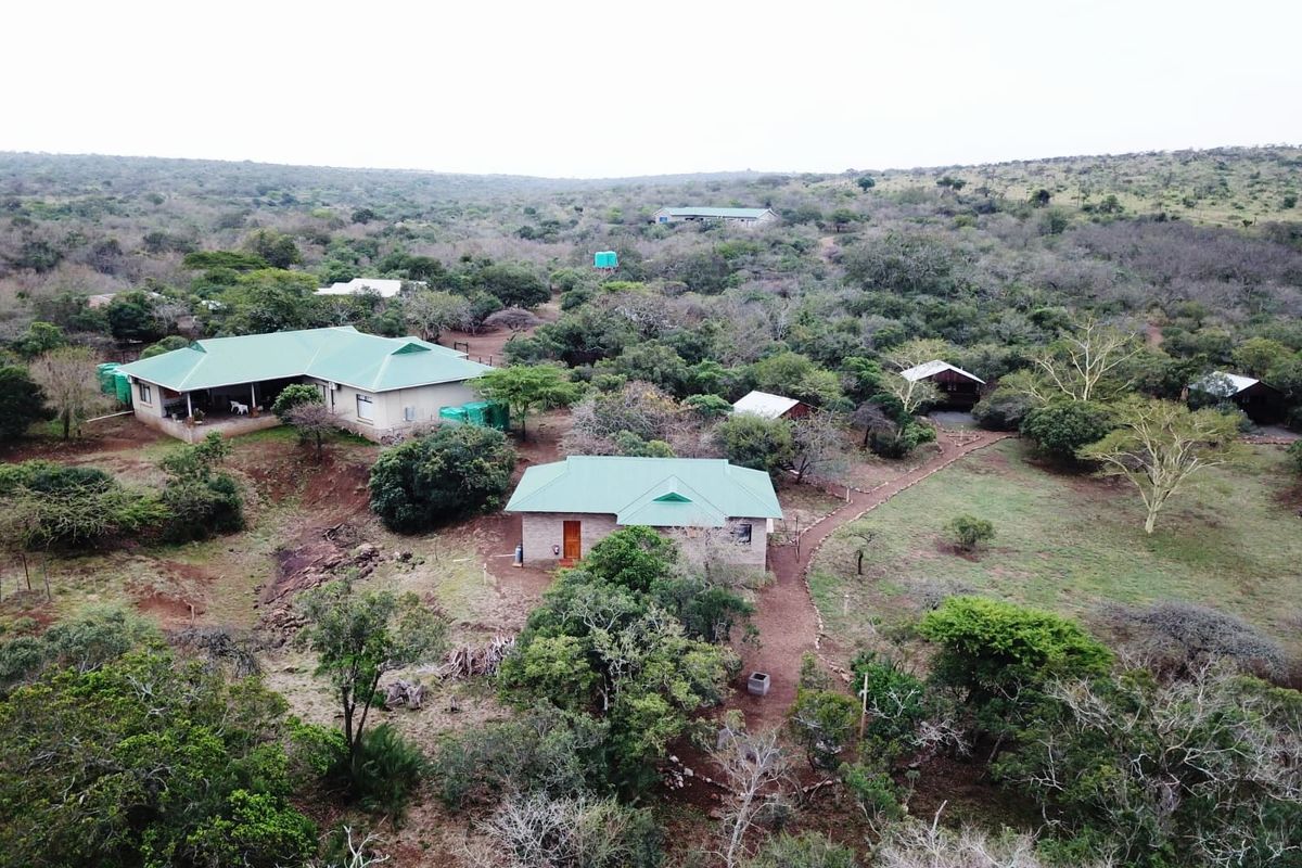 Aerial view of a rural farm property featuring multiple detached buildings with green metal roofs, surrounded by natural bushveld and gravel pathways.