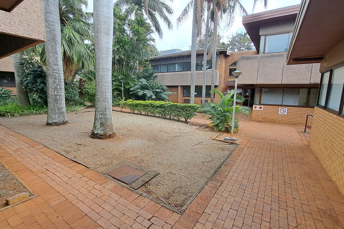 A paved courtyard area between office building wings featuring mature palm trees and gravel landscaping.