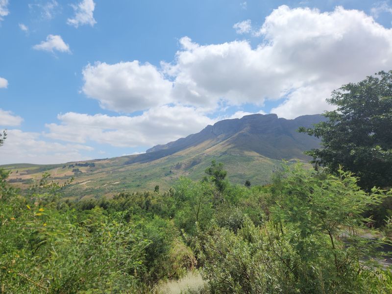 A scenic landscape view showcasing the natural beauty of the surrounding mountains and lush greenery on the farm property.