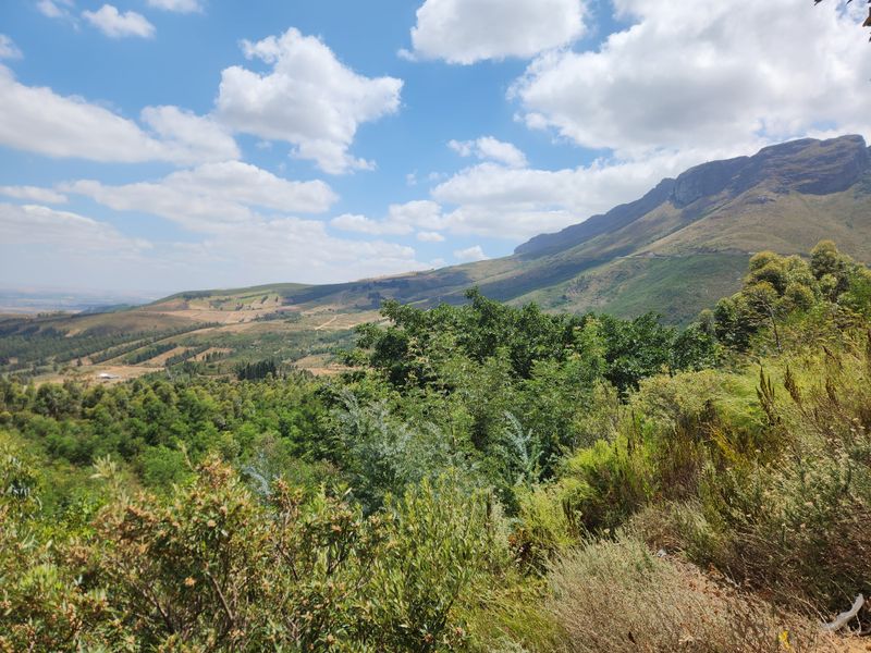 A scenic landscape view showcasing the natural beauty of the surrounding mountains and lush greenery on the farm property.
