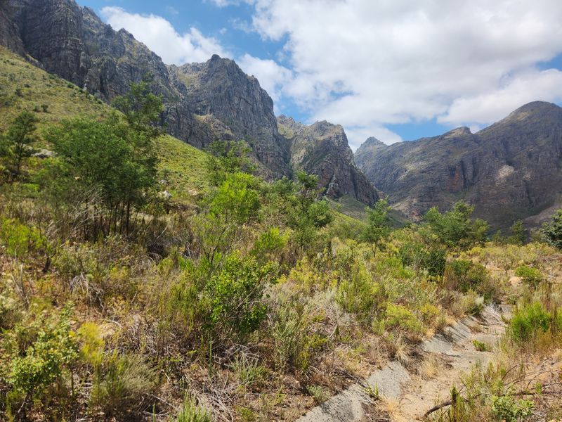 A scenic view of the rugged mountain landscape and natural vegetation on the farm property.