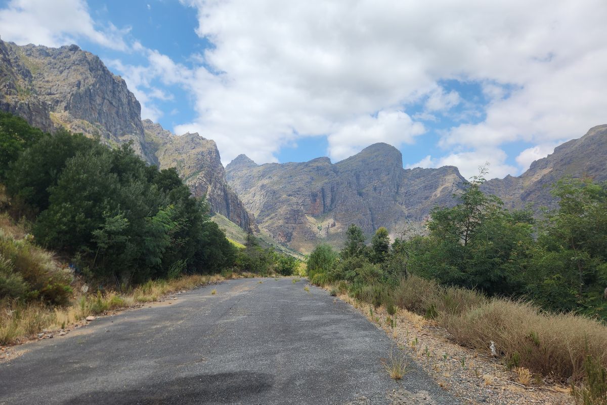 A scenic view of a mountain range looking down an old, weathered asphalt road surrounded by natural vegetation.