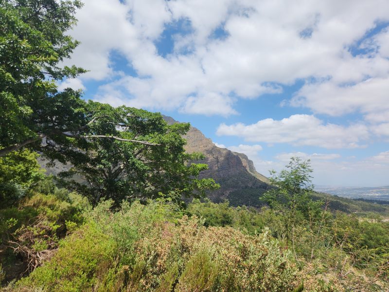 A scenic landscape view showcasing the natural beauty of the surrounding mountain range and lush vegetation on the farm property.