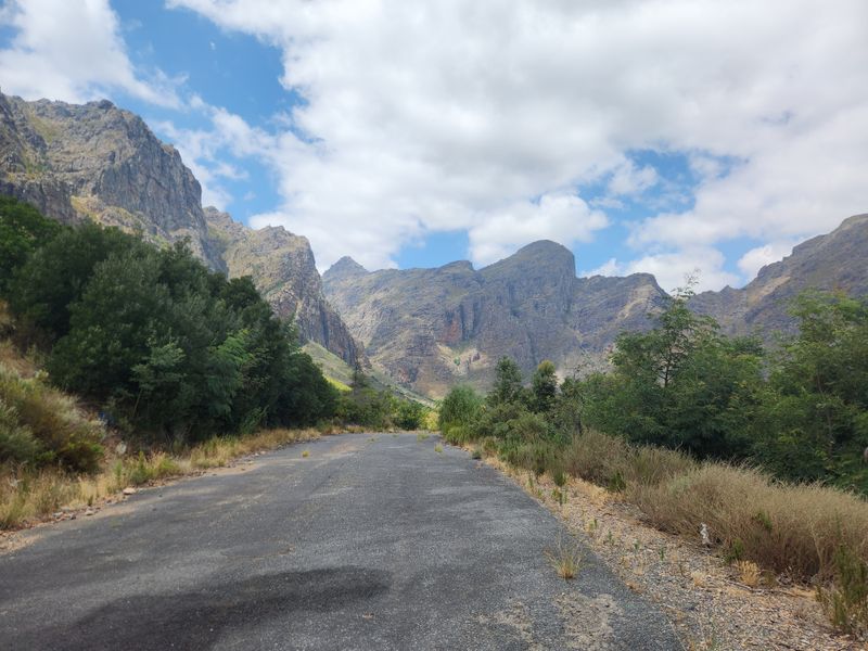 A scenic view of a mountain range looking down an old, weathered asphalt road surrounded by natural vegetation.