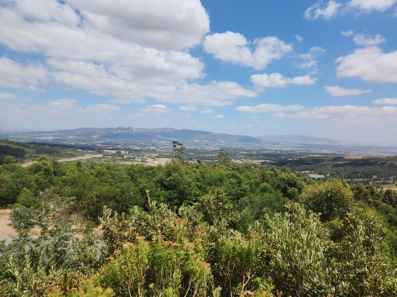 A scenic, elevated landscape view overlooking lush green trees, rolling hills, and a distant valley under a bright blue sky.