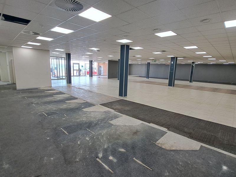 A large, open-plan office space featuring a suspended ceiling with recessed lighting, structural columns, and a mix of tiled and carpeted flooring.