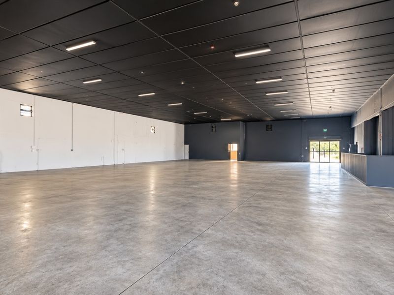 Spacious open-plan retail area featuring polished concrete flooring, a modern dark suspended ceiling with recessed lighting, and a built-in service counter.
