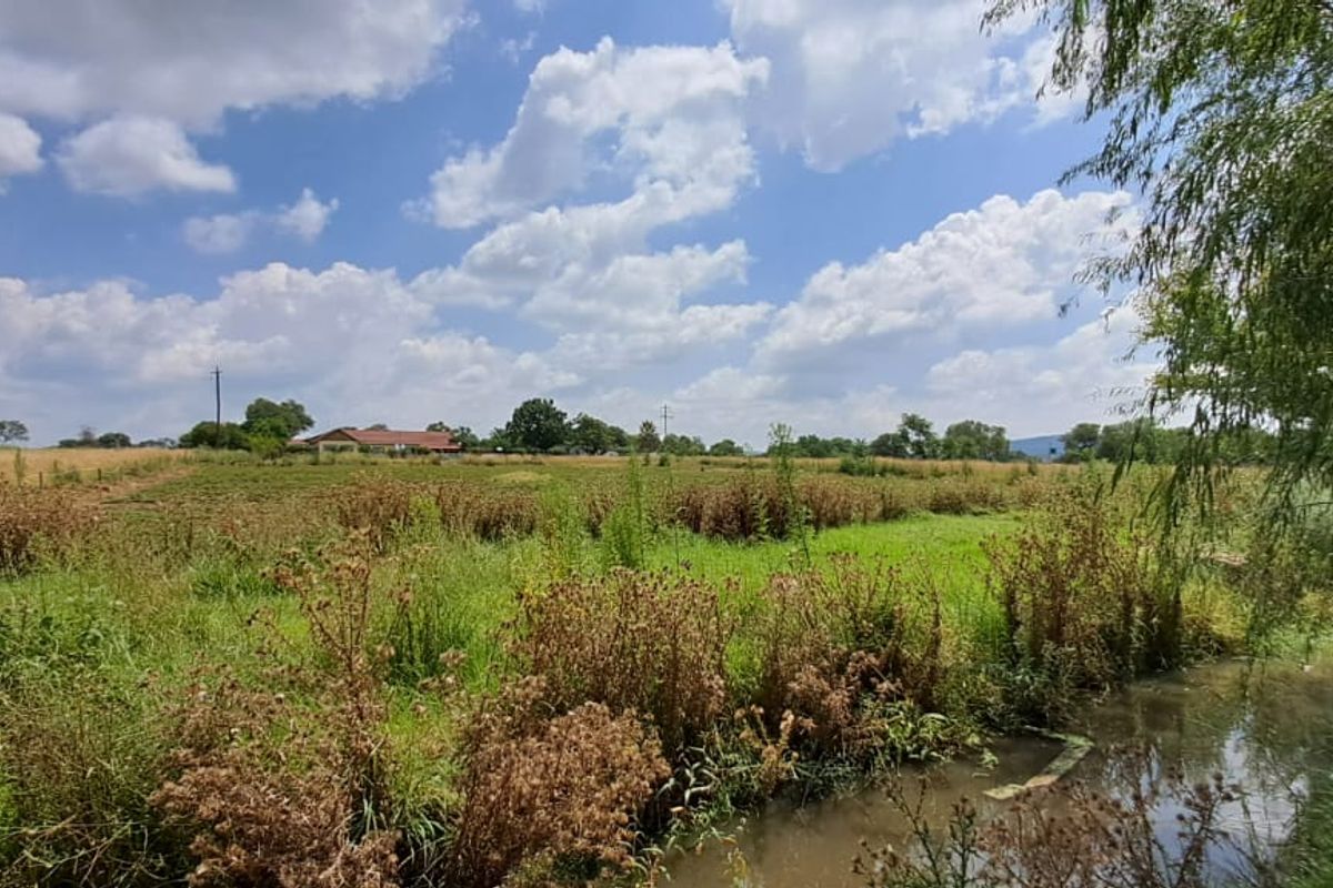 Your Slice of Paradise! 8.56 Ha Plot Adjacent to Town, Boasting Superior Water Access - Photo 2