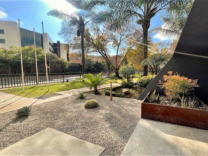 Office space to let in Parktown - Photo 9