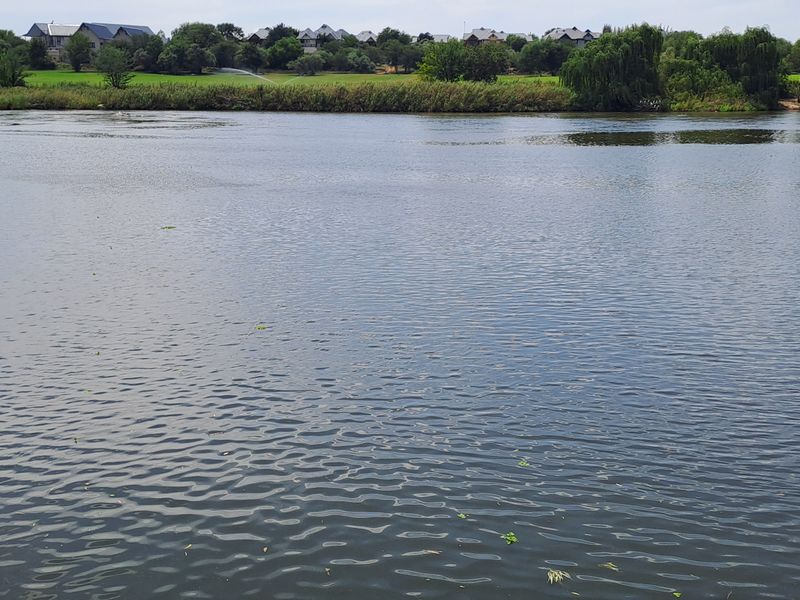 Stunning 2.2 Hectare Riverfront Haven Near Parys Available for Purchase - Photo 6