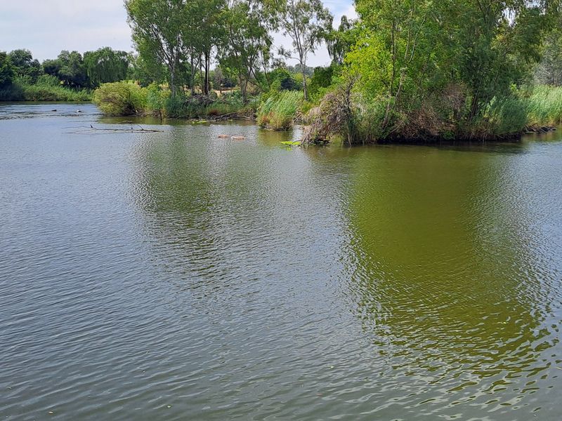Stunning 2.2 Hectare Riverfront Haven Near Parys Available for Purchase - Photo 4