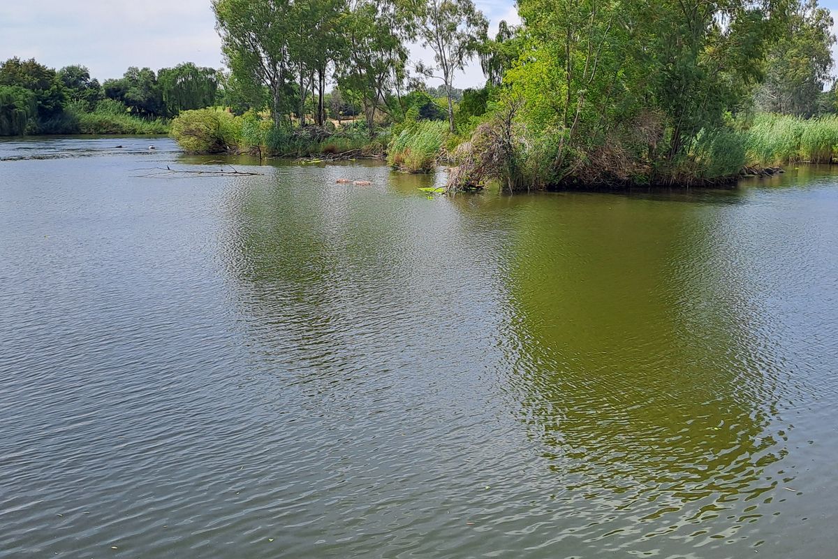 Stunning 2.2 Hectare Riverfront Haven Near Parys Available for Purchase - Photo 4