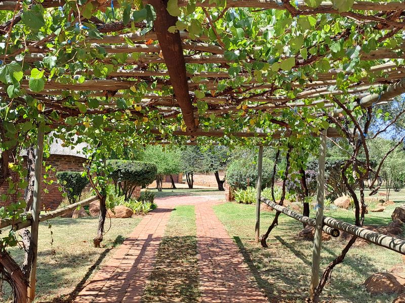 Stunning 2.2 Hectare Riverfront Haven Near Parys Available for Purchase - Photo 2