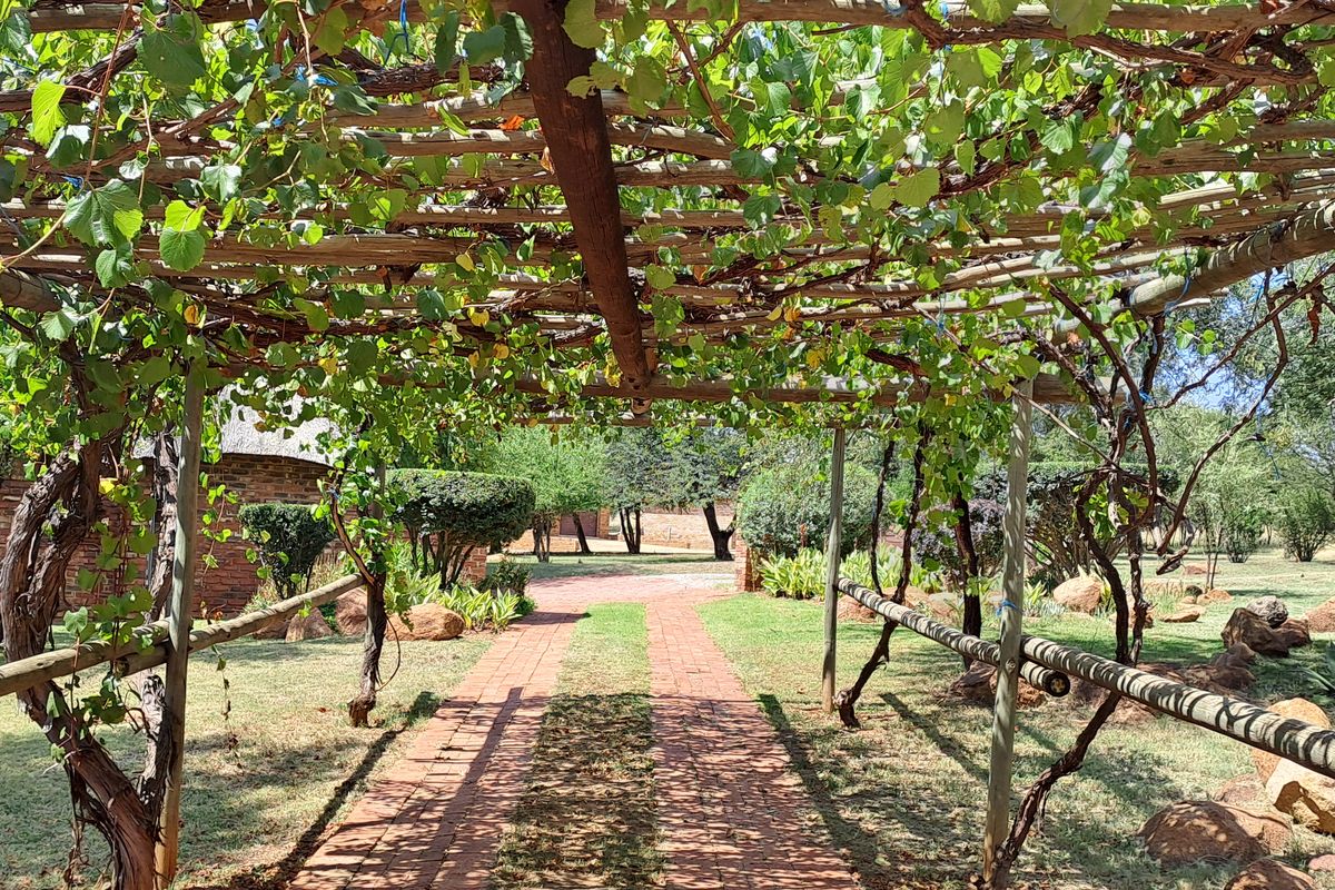 Stunning 2.2 Hectare Riverfront Haven Near Parys Available for Purchase - Photo 2