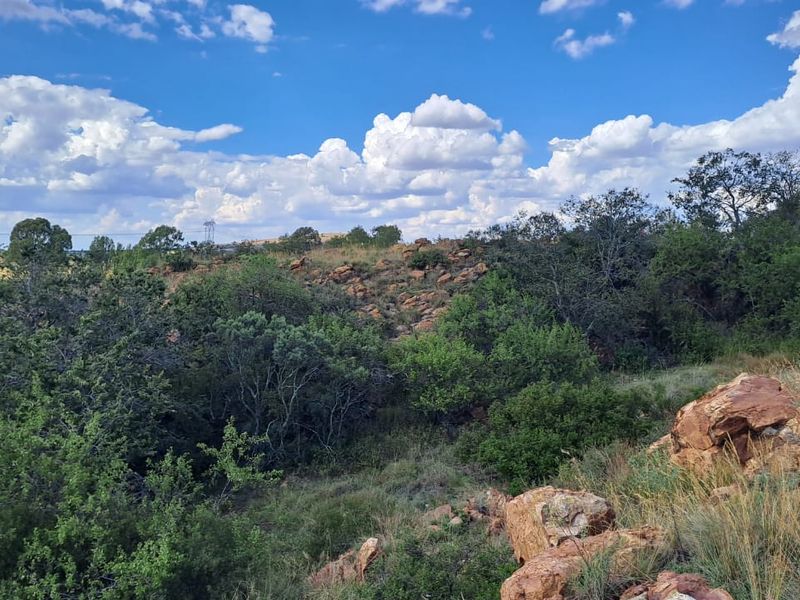 Your Riverside Dream: 15 000sqm of Untouched Beauty with 80 Metres of River Frontage - Photo 8