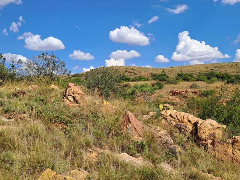 Your Riverside Dream: 15 000sqm of Untouched Beauty with 80 Metres of River Frontage - Photo 10