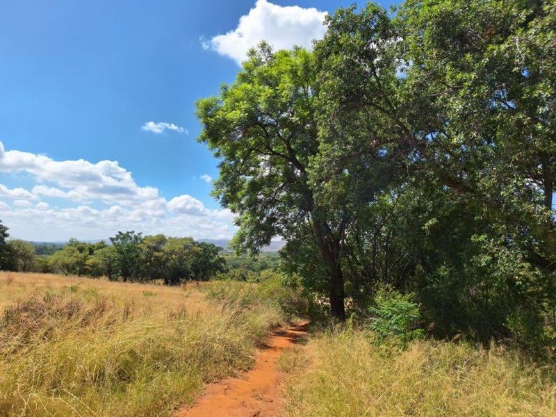 A scenic view of the farm property featuring a natural dirt path winding through open grassland and mature indigenous trees under a clear sky.